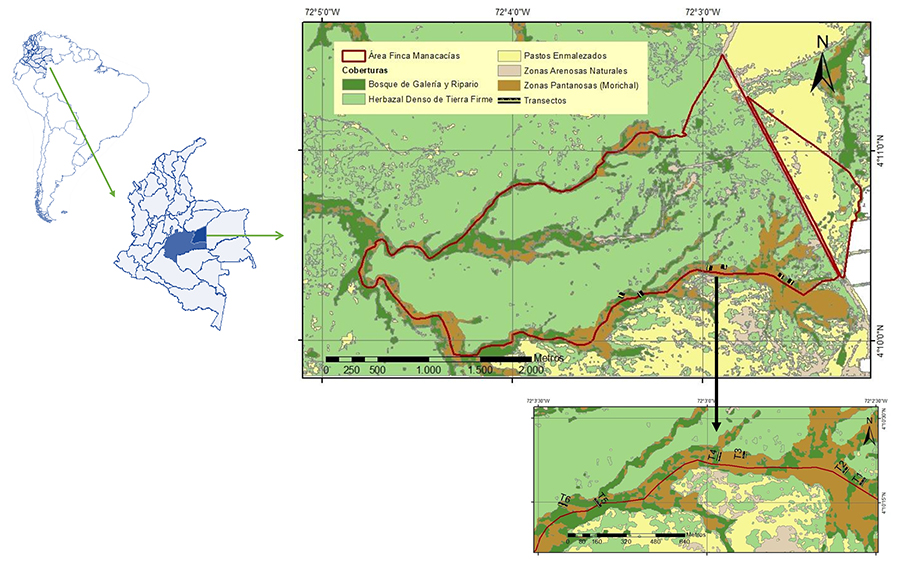 Ubicación de la Finca Manacacías de la Universidad de los Llanos y los transectos realizados para el levantamiento de la información florística del morichal