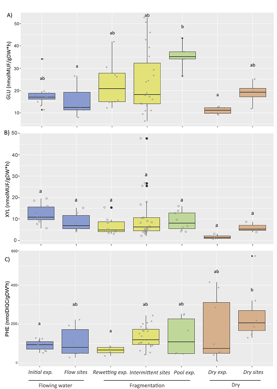 Box plots of extracellular enzyme activities from streambed sediments