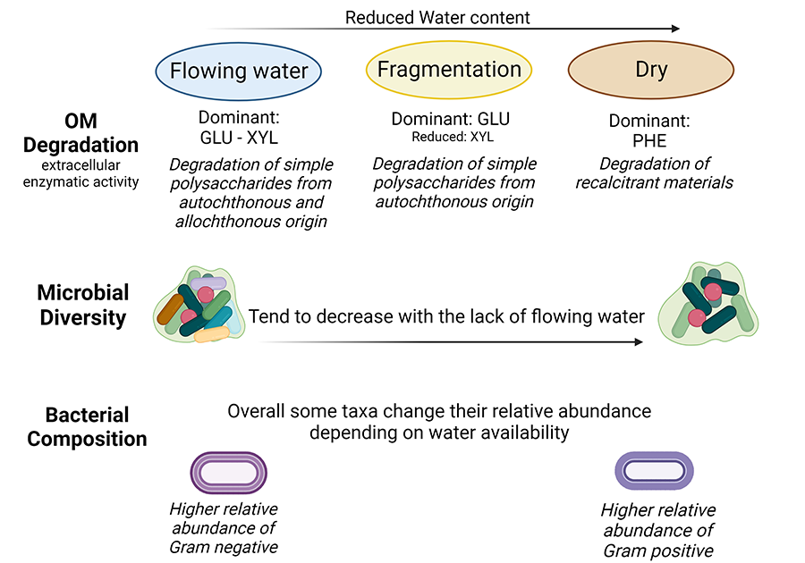 Diagram illustrating the main findings obtained from this data comparison