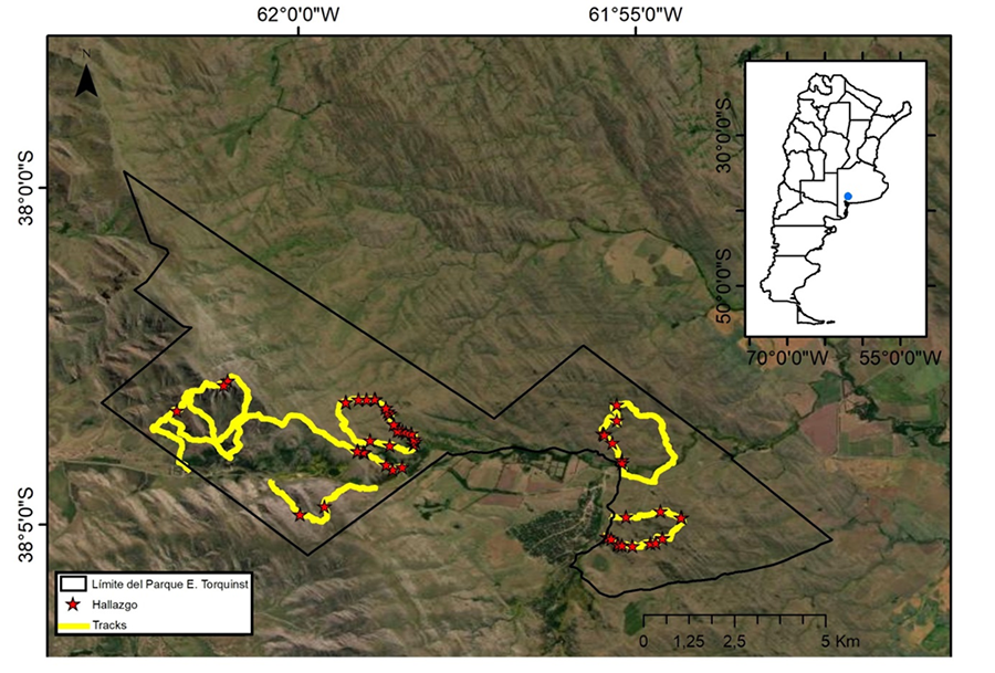 Mapa de transectas (Tracks) y hallazgos de sitios con individuos adultos y ootecas de L. mirabilis en el Parque Provincial E. Tornquist (Buenos Aires, Argentina)
