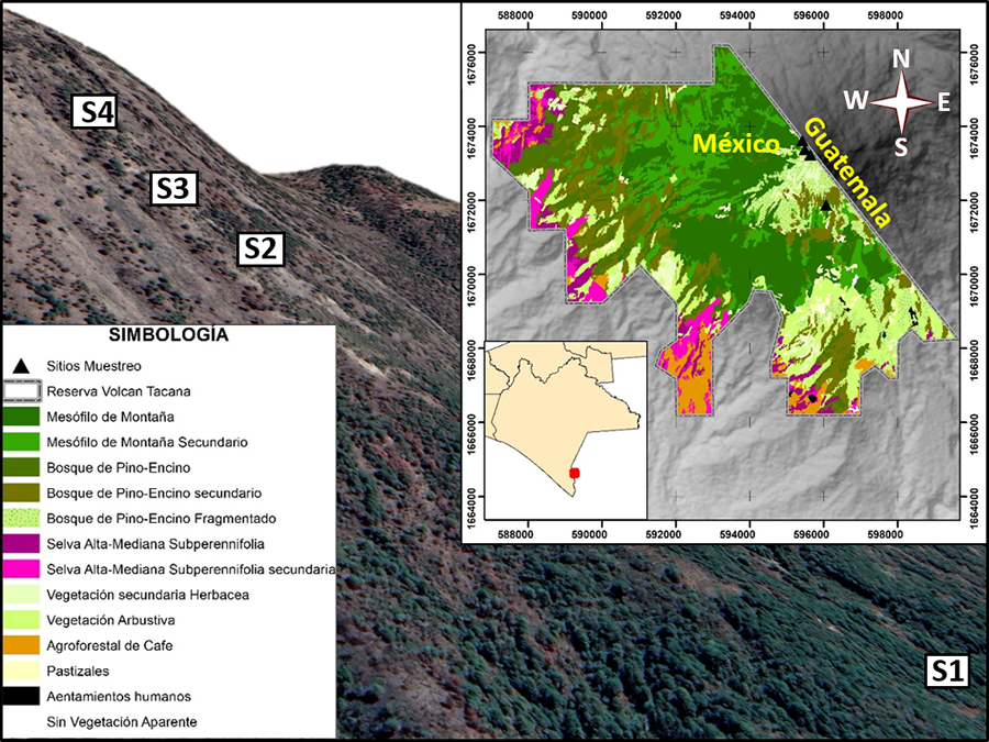 Localización del área de estudio y establecimiento de los sitios de muestreo a diferentes altitudes
