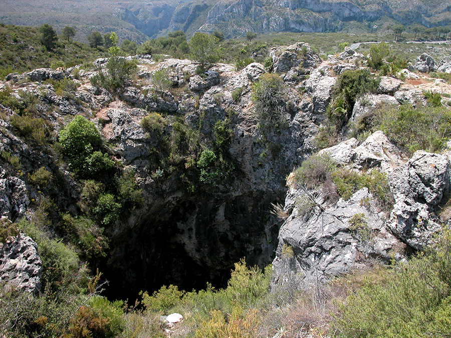as simas actúan como refugios de biodiversidad en entornos degradados gracias a la barrera topográfica y al microclima que proporcionan en su interior, albergando a menudo especies desaparecidas en el exterior