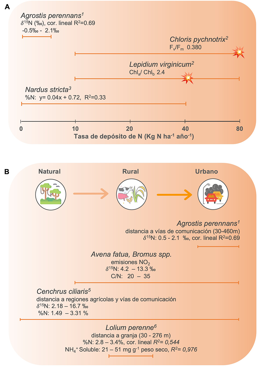 Procesos clave del ciclo biogeoquímico del N.