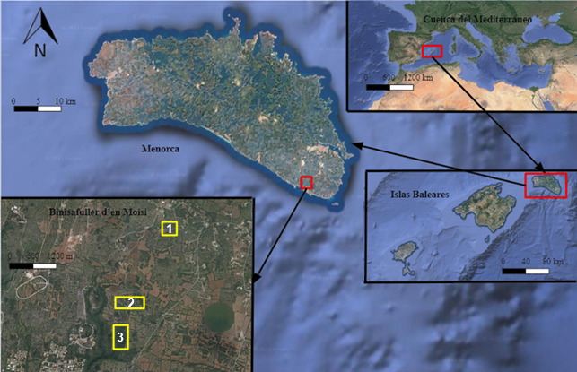 Localización del sitio de estudio en la Cuenca del Mediterráneo Occidental. Punto 1: “Antiguo Cultivo”, Punto 2: “Bosque Maduro”, Punto 3: “Bosque Mixto”.