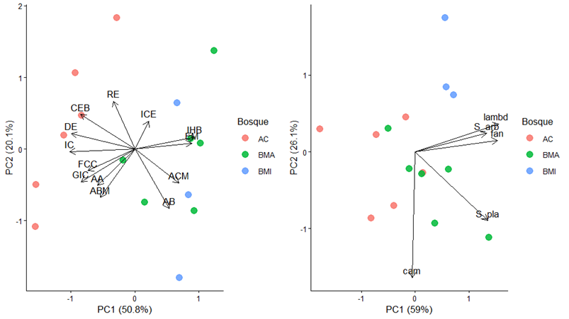 Ordenación de las variables dasométricas (izquierda) y las variables de diversidad (derecha)