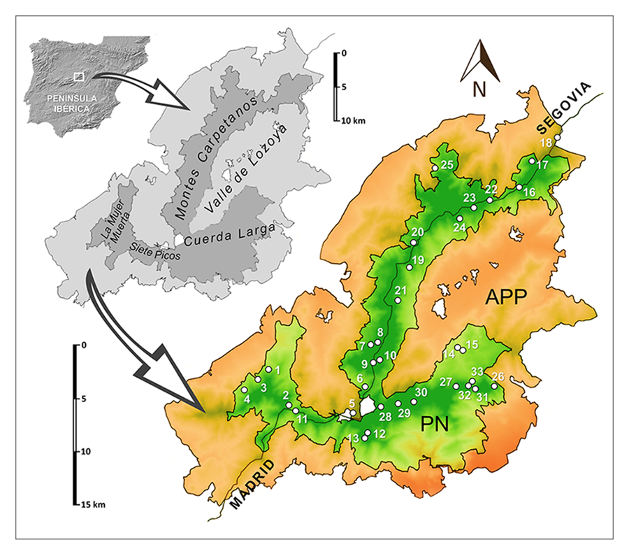 Orografía del área de estudio y ubicación de las Estaciones de Muestreo Subterráneo (EMS, círculos numerados) en el Parque Nacional de la Sierra de Guadarrama (PN) y el Área de Protección Periférica (APP).