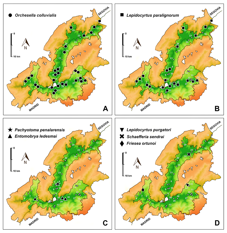 Distribución geográfica de algunas especies de Collembola descubiertas en el Medio Subterráneo Superficial del Parque Nacional de la Sierra de Guadarrama