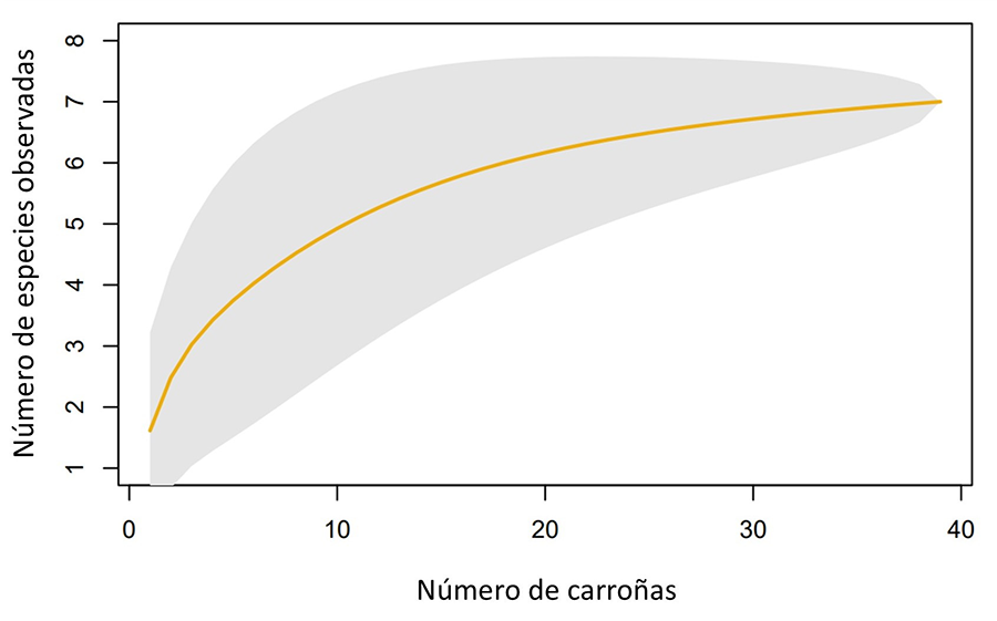 Overview of the demographic diversity of the survey sample by gender (left) and age (right)