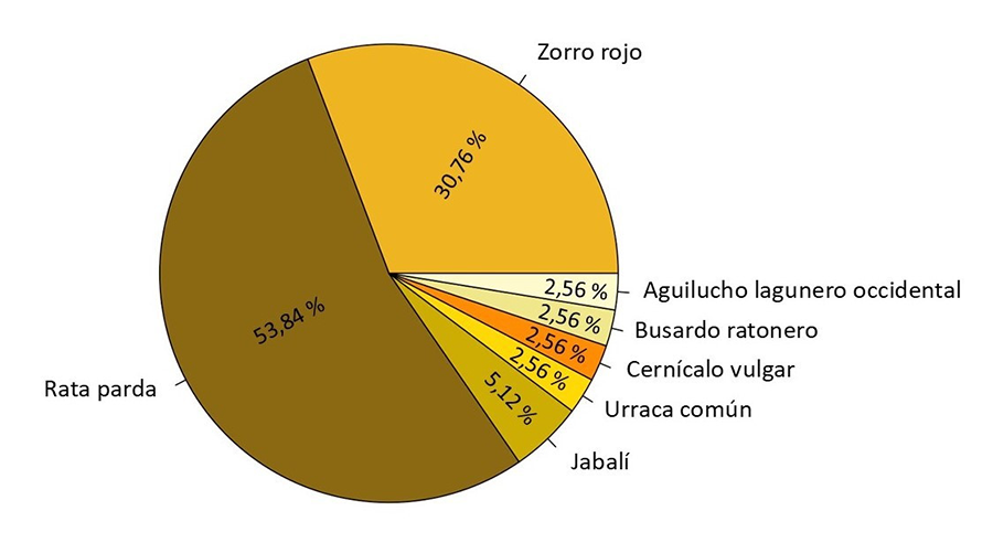 Overview of the demographic diversity of the survey sample by gender (left) and age (right)