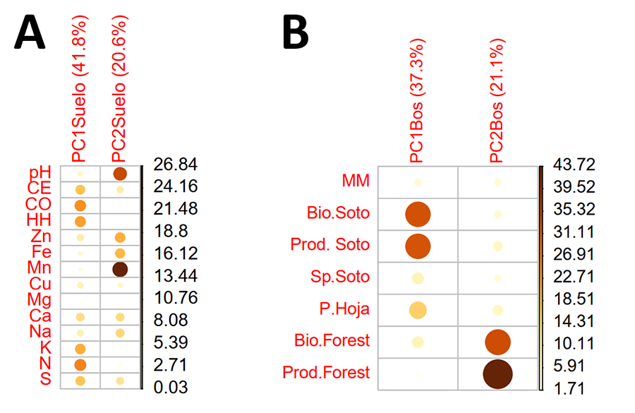 Contribución de las variables en los PCA de suelo (A) y de estructura forestal (B) para todos los tipos de bosques juntos. Los números que aparecen a la derecha de cada figura corresponden con el porcentaje de varianza absorbida y su escala en color. PC1Suelo (Primer componente del PCA de las propiedades físico-químicas del suelo), PC2Suelo (Segunda componente del PCA de las propiedades físico-químicas del suelo), PC1Bos (Primer componente del PCA de las propiedades físico-químicas del suelo), PC2Bos (Segunda componente del PCA de las propiedades físico-químicas del suelo)