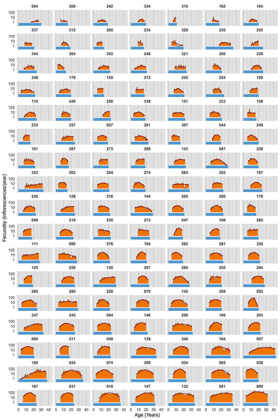 Lifetime reproductive schedules of individual Lavandula latifolia plants that were monitored for their whole reproductive lifespans