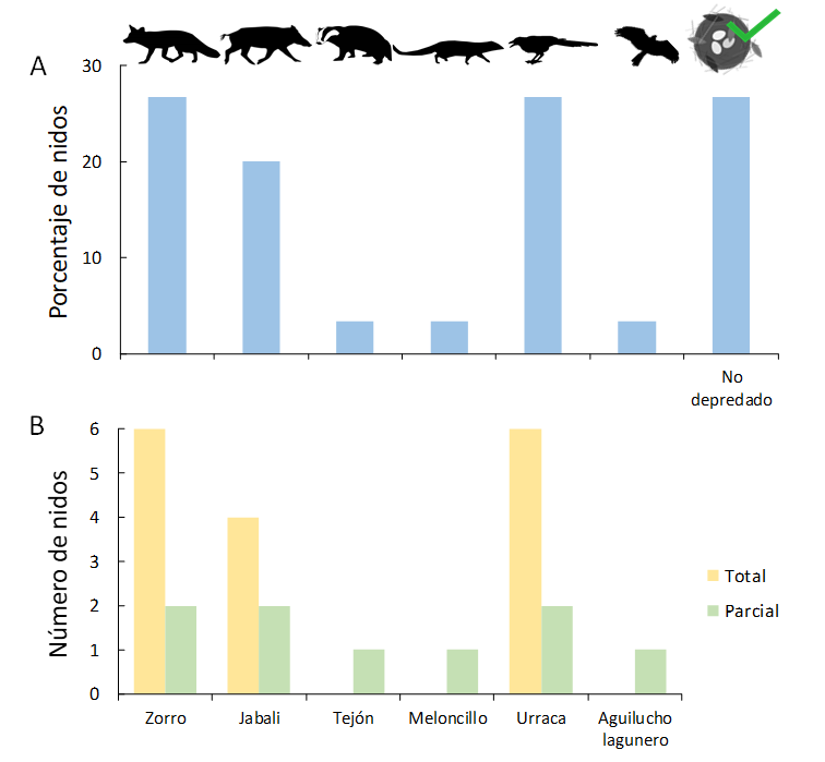 (A) Porcentaje de nidos depredados por cada especie y no depredados. (B) Número de nidos en los que cada especie ha depredado huevos, diferenciando aquéllos en los que la depredación conllevó la eliminación de todos los huevos del nido (depredación total), y aquéllos en los que se consumían uno o más huevos, pero no la totalidad (depredación parcial).
