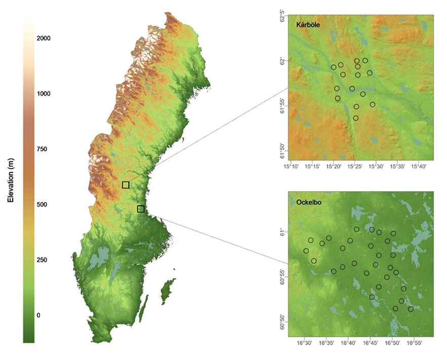 Number of threatened and non-threatened Scleria species grouped by Realm and Section