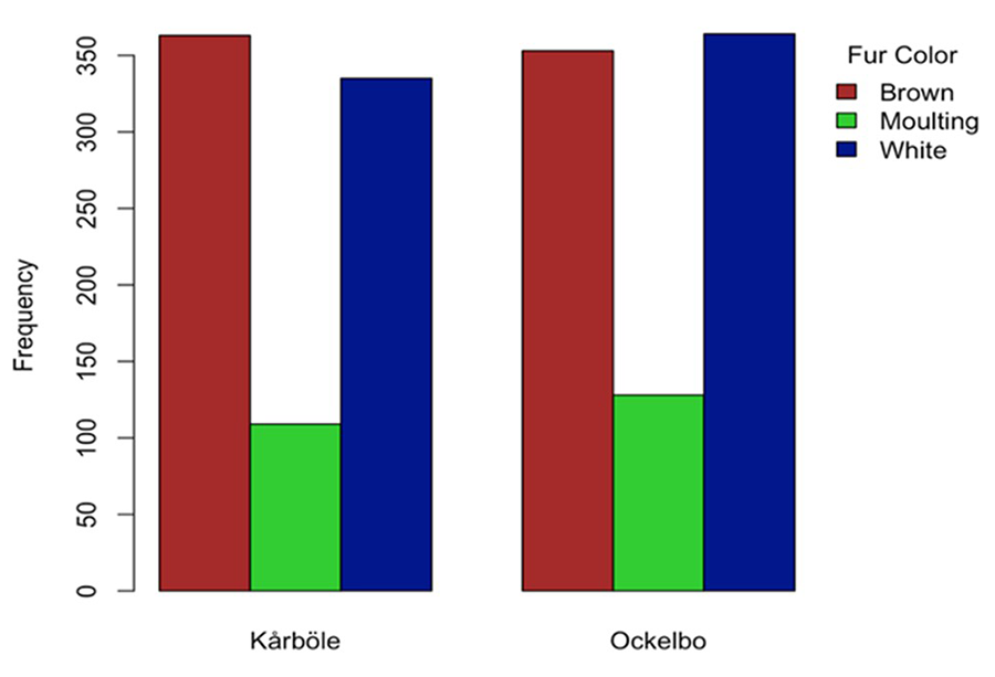 Colour frequency according to the study area (not significant p>0.05).