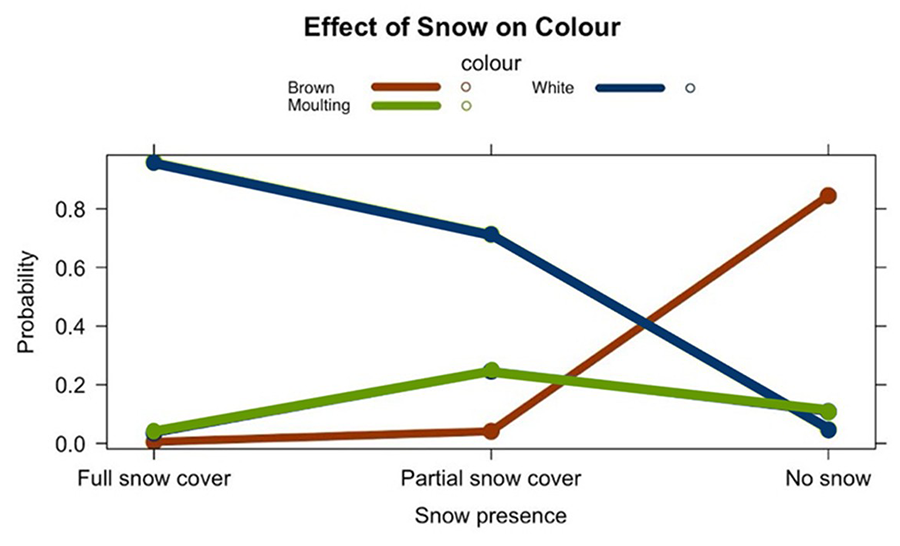 Probability of frequency of each colour (0 to 1) according to snow cover. 
