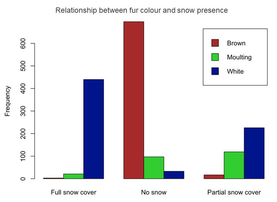 Relationship between fur color and snow presence.