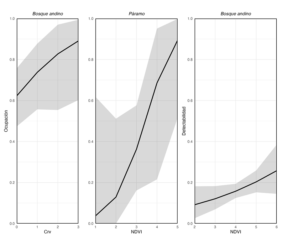 Ocupación y detectabilidad del tapir andino en bosque montano y páramo estimados con nuestros modelos. Crv, presencia de carnívoros; NDVI, cobertura vegetal.