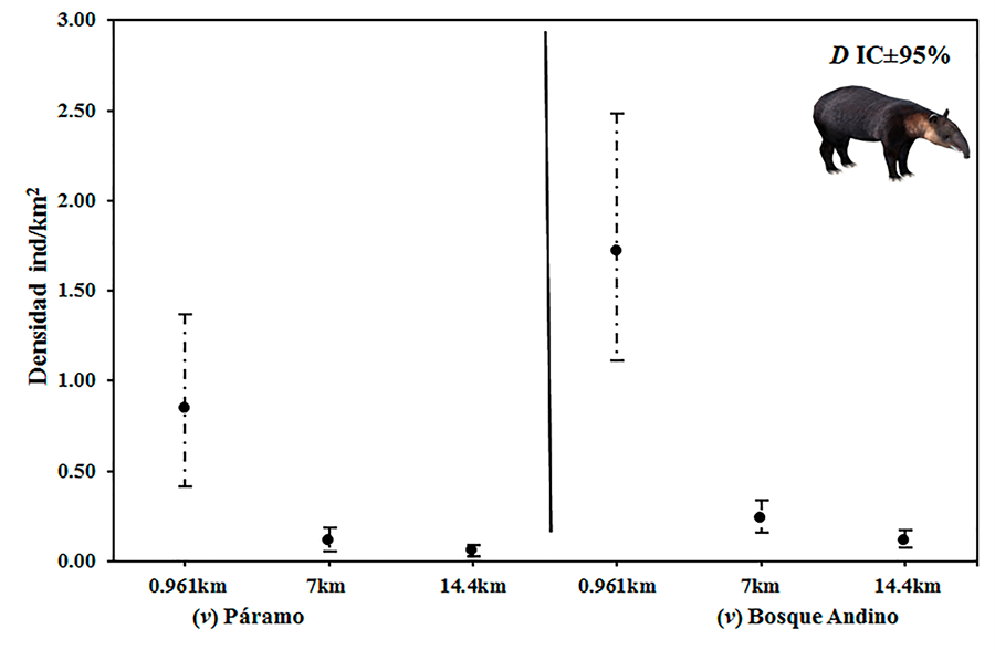 Crecimiento anual en diámetro (mm) y altura (cm) de las plantas forestales en función de la edad y de la técnica de control. Para cada especie y año, letras diferentes entre tratamientos indican diferencias significativas (P < 0.05)