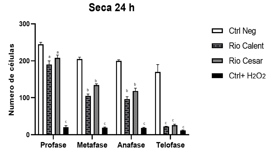 Número de células de A. cepa en época seca 24 h en las diferentes fases de la mitosis, profase, metafase, anafase y telofase, resultado de la exposición al agua de diferentes sitios colectados en la época seca (periodo de exposición: 24 h).
