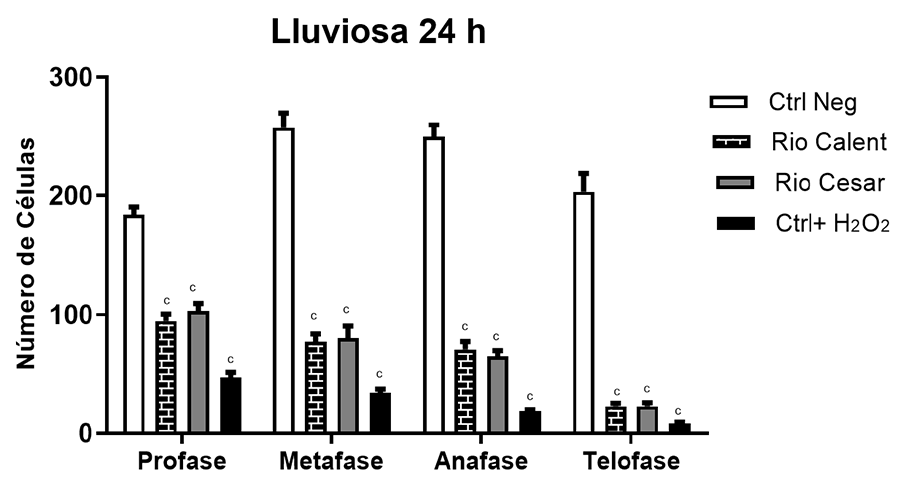 Número de células de A. cepa en época de lluvia 24 h en las diferentes fases de la mitosis, profase, metafase, anafase y telofase, resultado de la exposición al agua de diferentes sitios colectados en la época lluviosa (periodo de exposición: 24 h). Resultados presentados como media ± desviación estándar. cSignificativo p < 0.001 en relación con el control negativo; ANOVA, post hoc de Dunnett. Control negativo = agua; Control positivo = H2O2.