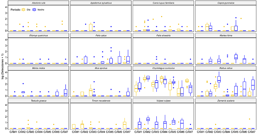 Distribución de las detecciones de paso por drenaje (CAM1-7) y momento del día (día/noche) para las especies con >5 registros