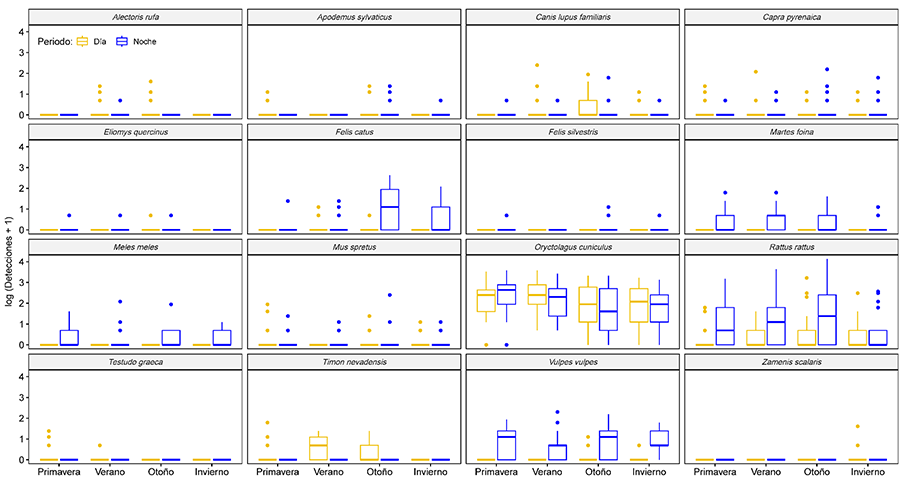 Distribución de las detecciones de paso por estación del año y momento del día (día/noche) para las especies con >5 registros