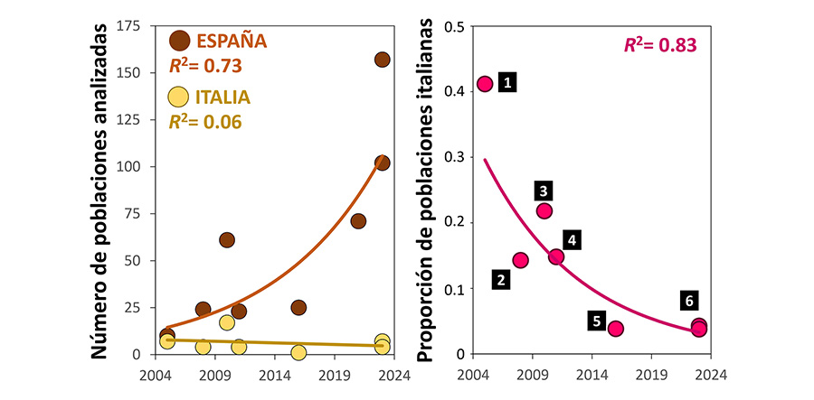 Poblaciones españolas e italianas de cangrejo italiano (Austropotamobius fulcisianus) de la subespecie fulcisianus utilizadas en estudios genéticos que tratan el estatus de la especie en la península ibérica. El gráfico izquierdo muestra la evolución temporal del número de poblaciones de ambos territorios, mientras el derecho muestra la proporción de poblaciones italianas en los conjuntos de datos utilizados.