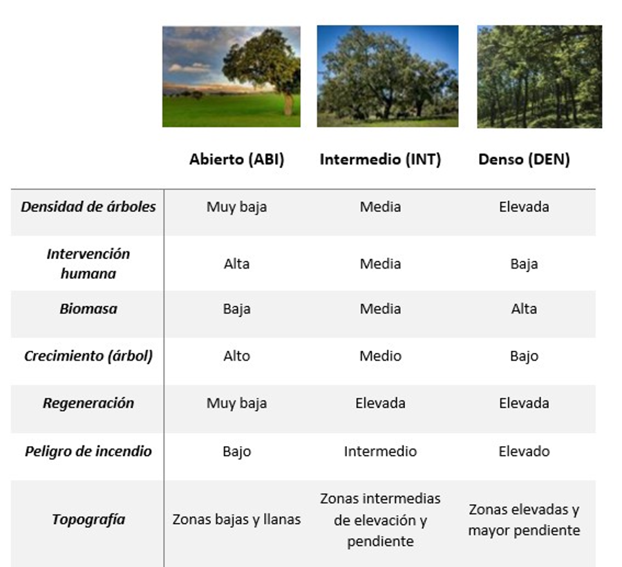 Características asociadas a encinares
ibéricos dependiendo de su densidad de arbolado: Abierto (ABI); Intermedio (INT) y Denso (DEN)