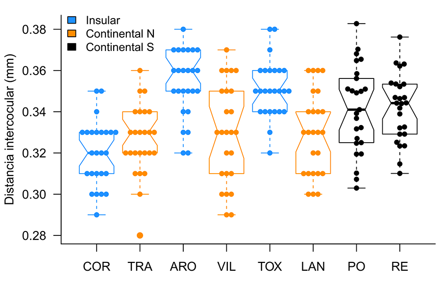 Distancia mínima entre los ojos (mm) de las obreras pertenecientes a las ocho colonias estudiadas