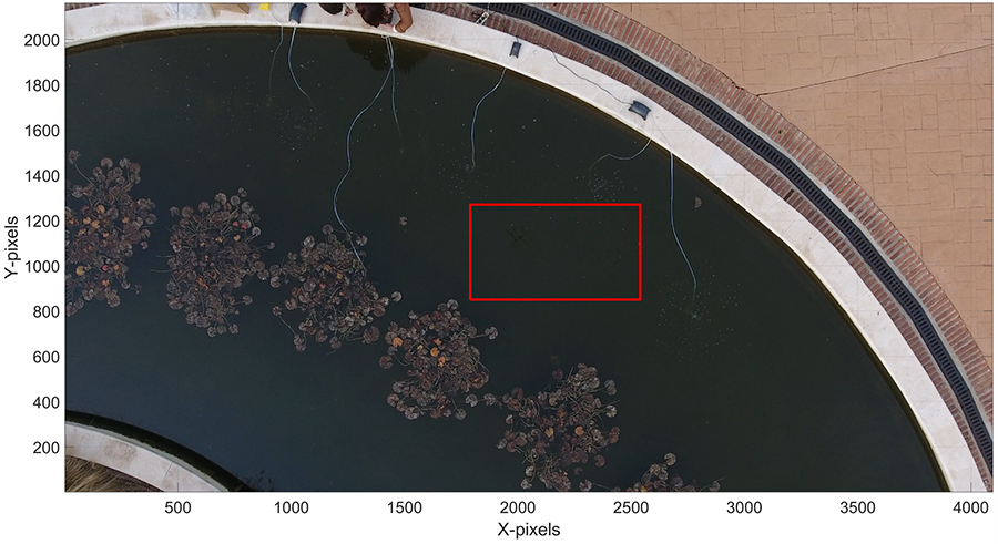 A single frame from the original footage with the region selected for the
processing highlighted in red