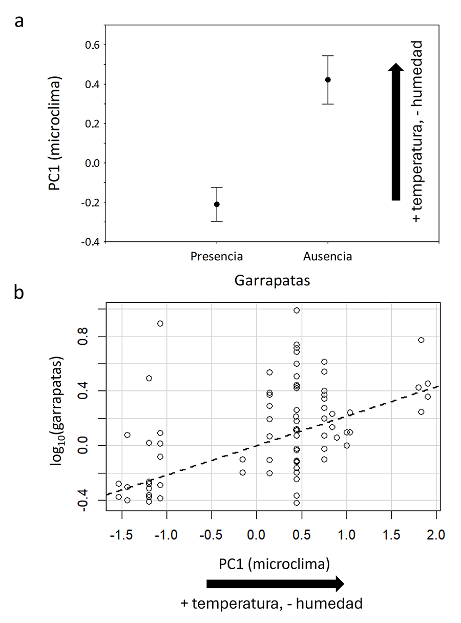 Los puntos de muestreo donde los lagartos y lagartijas presentaron garrapatas del género Ixodes fueron más fríos y húmedos que aquellos otros donde no estuvieron infestados. (b) Sin embargo, el número de garrapatas por hospedador fue mayor en aquellos lugares que fueron más calientes y secos, de acuerdo con un modelo general lineal presentado en la Tabla 3.