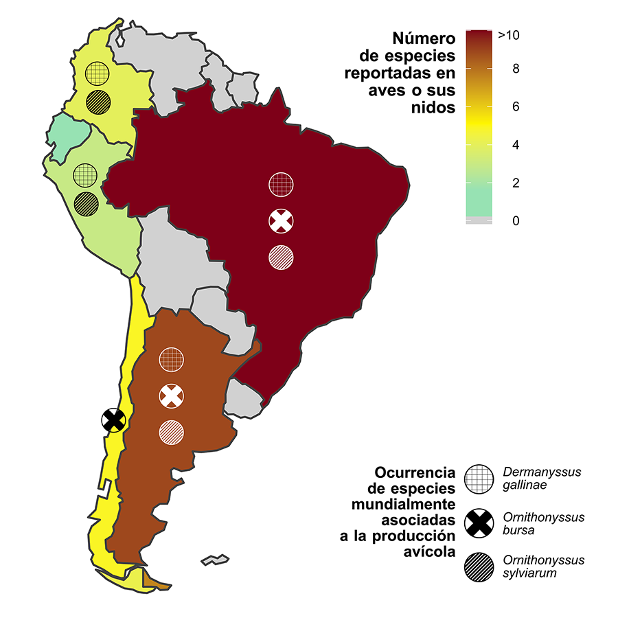  Número de especies reportadas de ácaros mesostigmátidos hematófagos parásitos en aves o sus nidos (Tabla A1) y ocurrencia de las tres especies de mayor relevancia para la producción avícola (se incluyen los casos reportados en humanos) por país en Sudamérica.