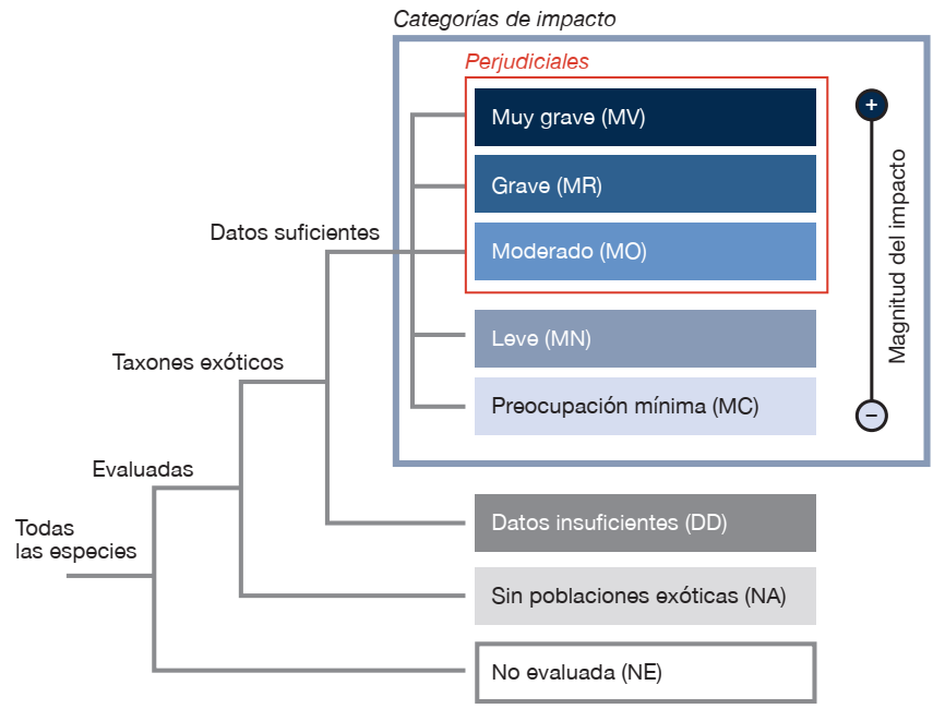Categorías de impacto de EICAT 