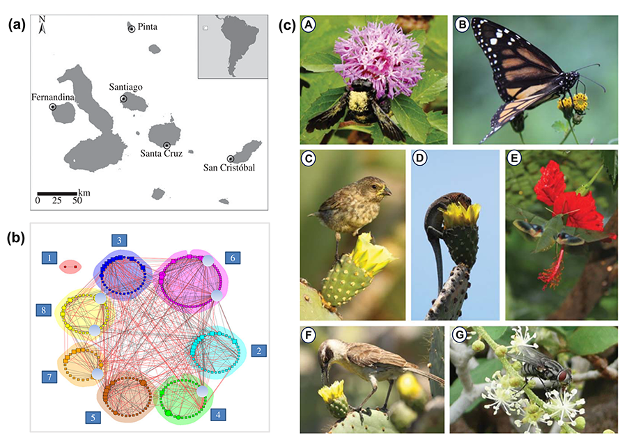 (a) Mapa de las Islas Galápagos mostrando los sitios de estudio. (b) Se identificaron ocho módulos (en diferentes colores) en la red de interacción entre 60 plantas y 220 polinizadores