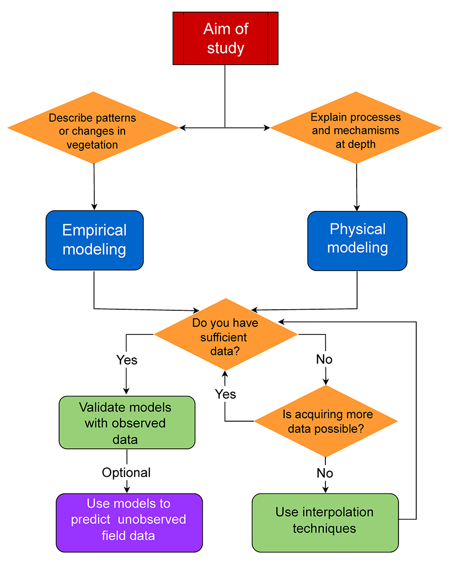 Flowchart for guiding the selection of the modeling approach in remote sensing-based vegetation studies. Two main approaches are distinguished: empirical modeling, aimed at describing patterns and changes in vegetation, and physical modeling, focused on explaining processes and mechanisms in depth. The choice depends mostly on the study goals, the availability of field data and the possibility of acquiring additional information. Interpolations techniques refer to the use of algorithms to estimate intermediate unobserved values between two observed values.