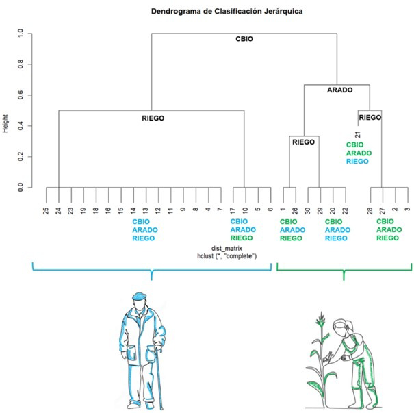 Dendrograma de los métodos de manejo. En mayúsculas y negrita se representa la variable de manejo que separa a cada grupo (CBIO, si se hace o no control biológico de plagas; RIEGO, riego por inundación o por goteo; ARADO, si se ara la tierra o no). En azul se representan los valores de cada variable típica de un manejo convencional (sin control biológico, con laboreo y riego por inundación). En verde, los valores típicos de un manejo alternativo. 