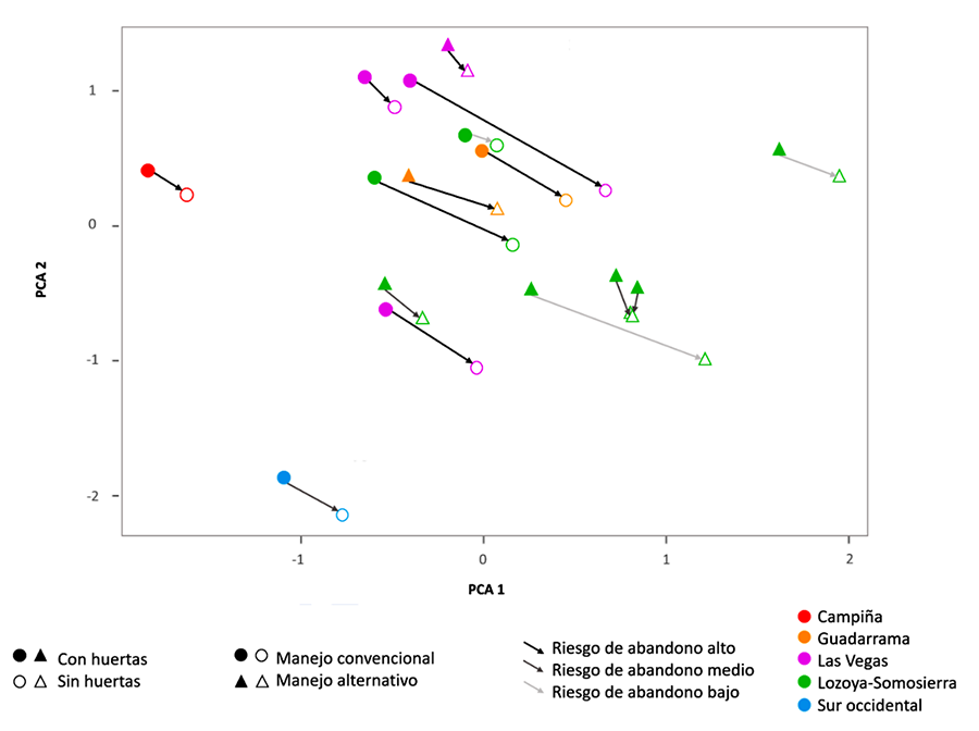 Potencial transformación del paisaje de la región con la desaparición de las huertas objeto de estudio (Modificado de Martín-Moreno en revisión). En este estudio realizado en la misma región, las figuras rellenas representan la situación actual: con huertas. Las figuras vacías representan una situación futura sin huertas. Los círculos representan municipios donde la mayoría de las huertas son gestionadas de manera convencional. Los colores de las flechas indican el riesgo de abandono: alto, medio, bajo de esas huertas. Los triángulos representan municipios donde la mayoría de las huertas son gestionadas de manera alternativa. Los diferentes colores representan las distintas regiones agrarias muestreadas. Para comparar la estructura actual del paisaje con la estructura de paisajes simulados sin huertas, se realizó un Análisis de Componentes Principales (PCA) por intervalos de tiempo sobre la matriz de 15 métricas y 30 observaciones (15 correspondientes a la situación actual con huertas y 15 a la situación contrastante sin huertas). La magnitud de los vectores de desplazamiento indica la intensidad del cambio en esos paisajes, hacia paisajes menos heterogéneos. A este análisis se le integró la comarca agraria a la que pertenece cada municipio, el tipo de manejo predominante y el riesgo de abandono 