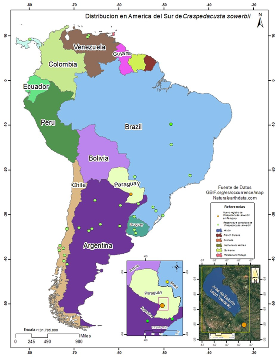 Distribución de Craspedacusta sowerbii en Sudamérica y detalle del sitio de registro en Paraguay