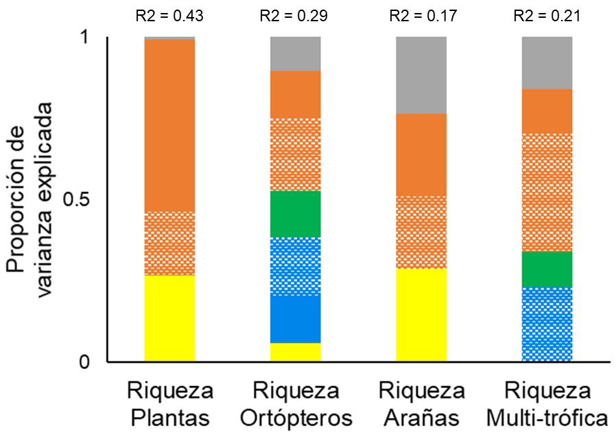 Proporción de varianza explicada asociada a cada grupo de variables explicativas en los modelos seleccionados para riqueza. Amarillo, clima; Azul, población humana; Verde, usos de suelo adyacentes; Marrón, suelo; Gris, tipo de parcela (abandono/control). Encima de cada barra aparece el R2 total del modelo en cuestión. Las zonas con trama representan la varianza explicada por la interacción entre tipo de parcela y el grupo correspondiente de variables. 