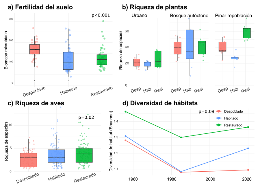 Resultados principales para los servicios de soporte: a) Biomasa microbiana, b) Riqueza de plantas por parcela (Abreviaturas: Desp: despoblado; Hab: habitado; Rest: restaurado) (tamaño de las parcelas: urbano-4m2; bosques-400m2), c) Riqueza de aves y, d) Evolución de la diversidad del paisaje (índice de Shannon) por tipo de localidad. La línea horizontal representa la mediana, la caja comprende los valores del rango intercuartil.
