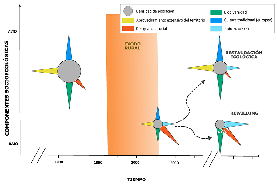Esquema para ilustrar la evolución de un conjunto de componentes ambientales, sociales y culturales desde el momento previo a la Gran Aceleración (Steffen et al., 2015) del despoblamiento rural y sus consecuencias para el ejemplo español. Se proponen dos posibles trayectorias de las dos propuestas de actuación: restauración ecológica y biocultural, y rewilding. 