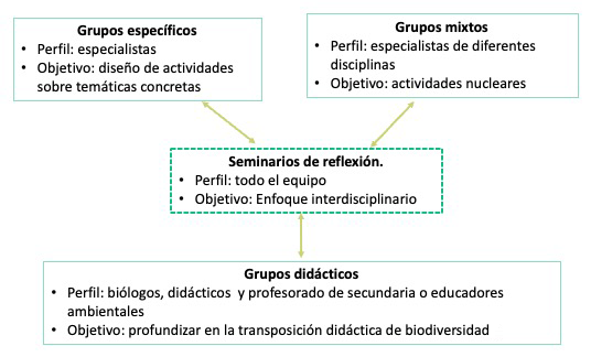 Organización de grupos de trabajo para el diseño del material