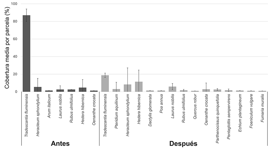 Cobertura media por parcela (1 m²) ± desviación estándar de las especies vegetales registradas en las parcelas tratadas con retirada manual antes y después de la aplicación del tratamiento. Se muestran únicamente aquellas especies con una cobertura media superior al 1 % en al menos uno de los dos momentos. Representadas en gris oscuro las especies observadas antes de la retirada y en gris claro las observadas después