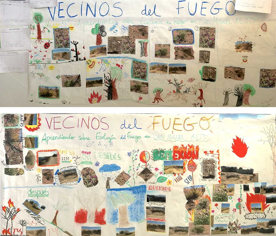 Mural colectivo de los alumnos de 5º y 6º de primaria