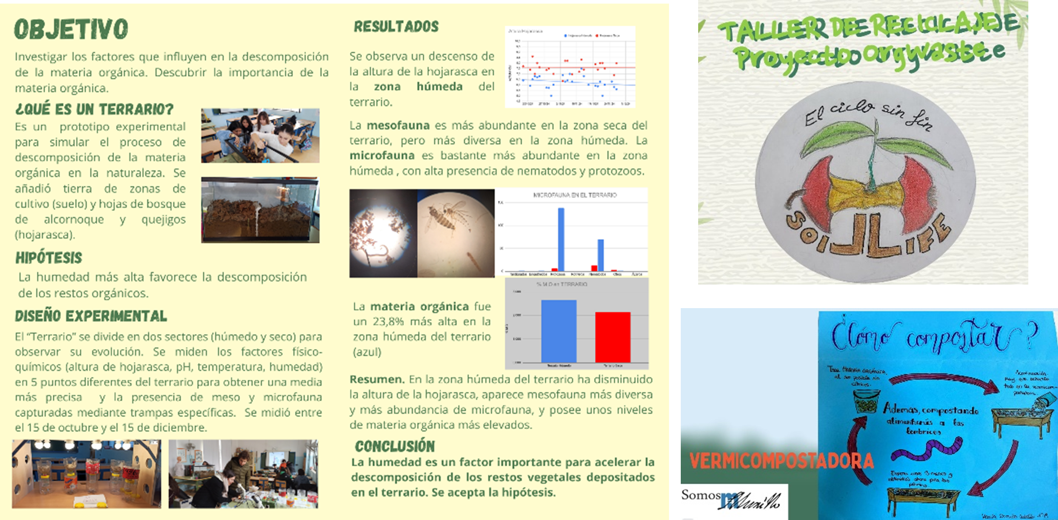 Actividades