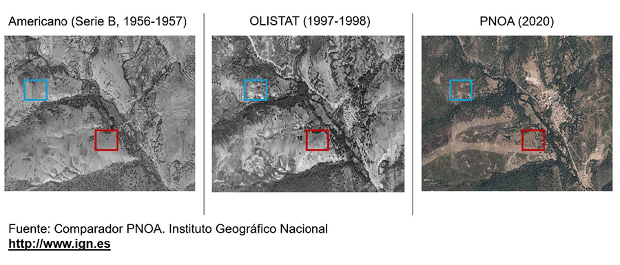 Serie de ortofotos históricas (años 1956, 1997 y 2020) que ilustran la progresiva transformación del paisaje tras el abandono de la ganadería extensiva en una de las zonas del área de estudio (Puebla de la Sierra, norte de la Comunidad de Madrid). 