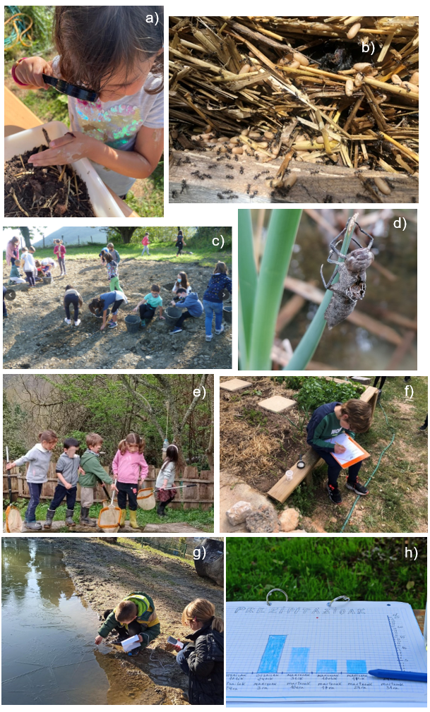 Prácticas infantiles de carácter científico en entornos naturales como el huerto o la charca