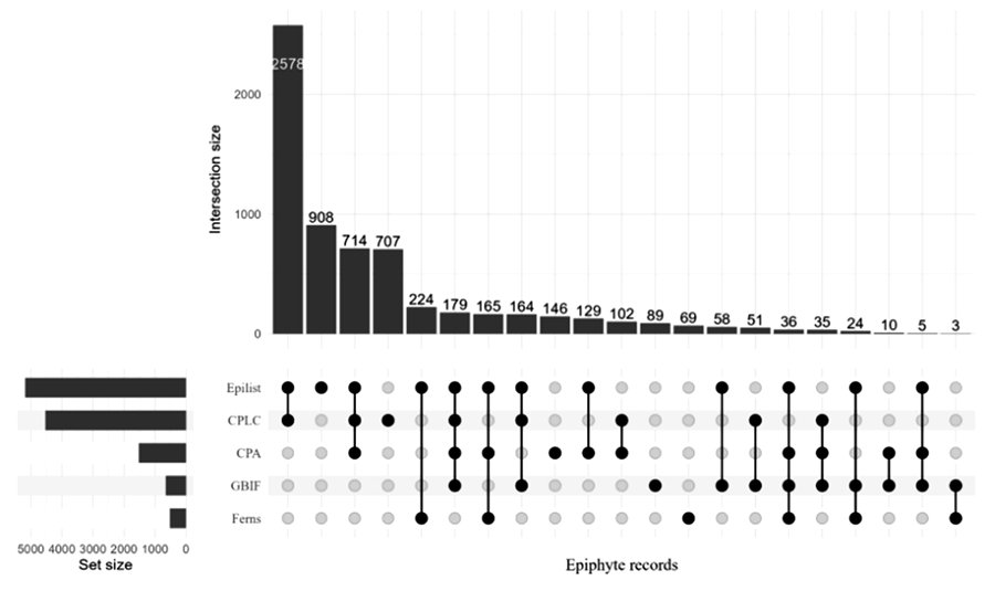 UpSet plot showing the intersection of epiphyte species records among five sources used to compile the Colombian checklist.
