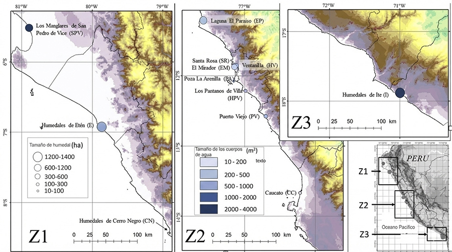 Humedales evaluados. El tamaño de los círculos es proporcional al tamaño de cada humedal, mientras que la tonalidad de azul lo es tamaño de sus cuerpos de agua. El esquema del extremo inferior derecho muestra la ubicación de las tres zonas en la costa peruana. 
