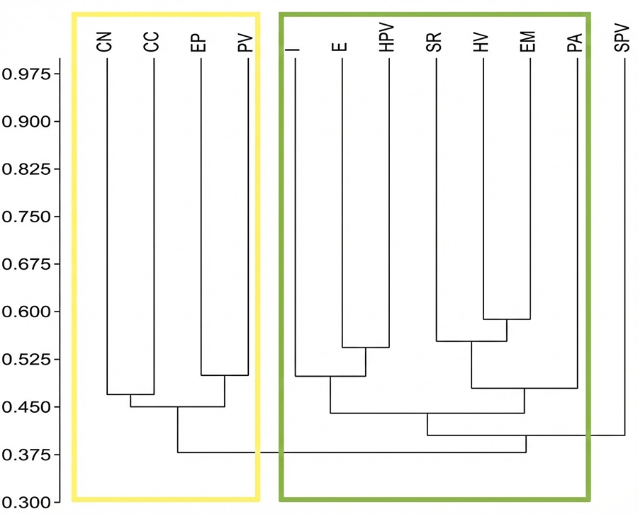 Dendrograma de similitud (índice de Jaccard) de la avifauna de los humedales costeros del Perú analizados. Color amarillo: primer grupo compuesto por humedales de distribución entre Lima e Ica (centro de la distribución latitudinal), que incluyen a los humedales de Cerro Negro (CN), Caucato (CC), El Paraíso (EP) y Puerto Viejo (PV). Color verde: segundo grupo conformado por el resto de las comunidades de aves de los humedales, excepto la de San Pedro de Vice (SPV), y que está compuesto por dos subgrupos distintos. Siglas de los humedales: igual que en la Figura 2